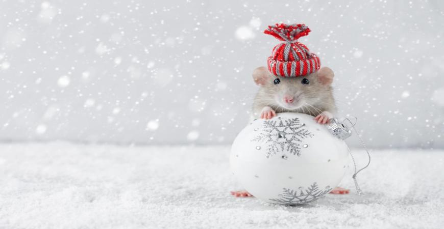 blog-banner